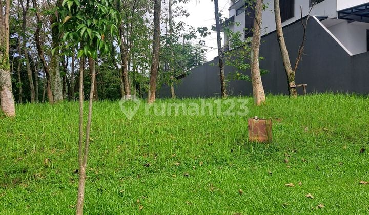 Golf Lot For Sale Direct Golf View Certificate