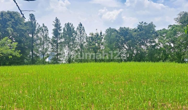 Dijual Kavlng Langsung View Golf Sentul City