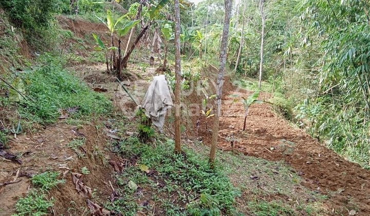 Land in the Bojongsari Area, Purwakarta, West Java.