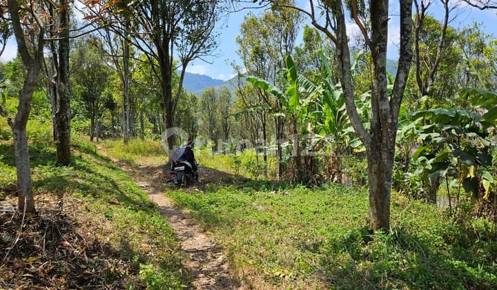 Tanah Jatinangor Cocok Buat Kost Apartment Pusat Pendidikan