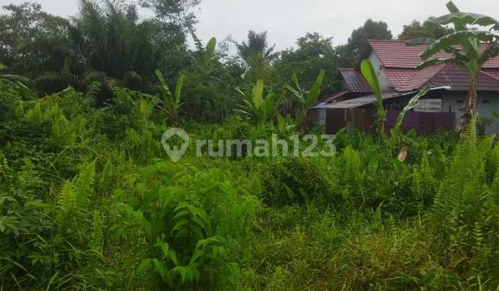 Tanah Jalan Parit Demang Dalam Gang Baru, Pontianak Selatan