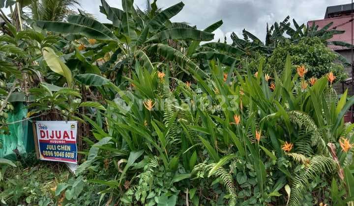 Tanah Jalan Desa Kapur Gang Haji Ali Amin, Kubu Raya Pontianak