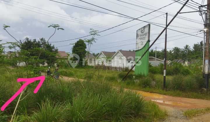 Tanah Tepi Jalan Perdamaian, Kalimas Hulu, Sungai Kakap