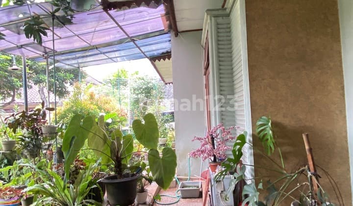 Beautiful Cool House with Lots of Plants, 2.5 Floors, SHM. Area 370m2