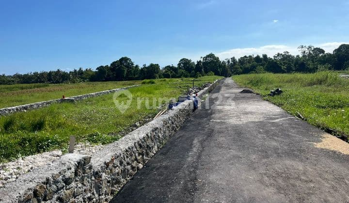 Land Ready to Build in Kedungu Tabanan Suitable for Villa
