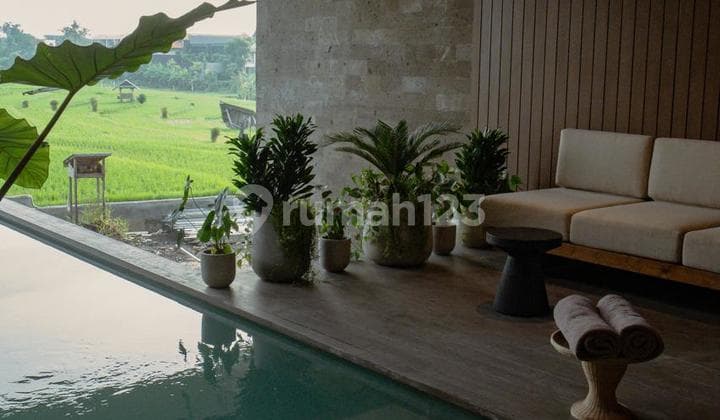 Villa 3Br In Canggu Price Start From 3 Bill