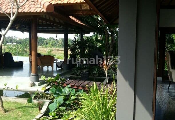 Spacious And Full Of Greenery 5 Bedroom Villa In Umalas