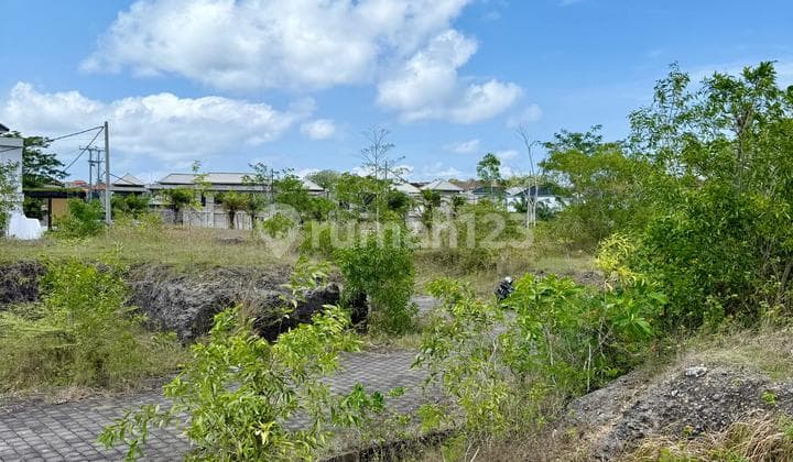 Land For Sale Nusa Dua Area Suitable For Investment