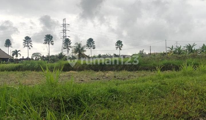 Land in Singapadu Kaler Village, Area 2000 m2, Gianyar, Bali