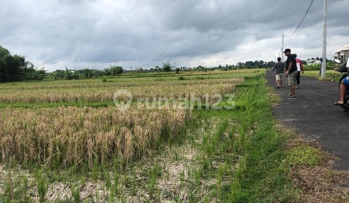 Land in Singapadu Kaler Village, Area 2,500 m2, Gianyar, Bali