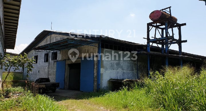 025- GUDANG/PBRK DICIBALIGO DIHIT HRG TNH. COUNTAINER MSK.DKT TOL