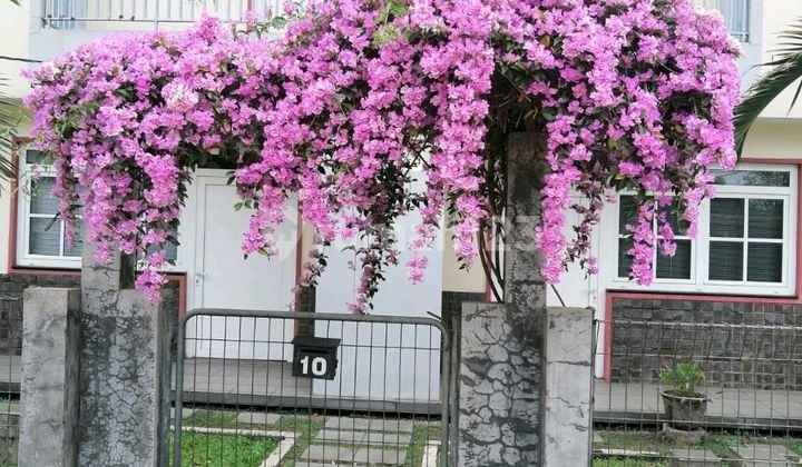 Jual Cepat Murah 2 Ruko Gandeng Di Mega Cinere Depok