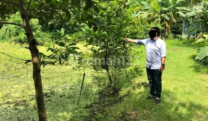 Tanah Murah Aset BRI, Balen, Kab. Bojonegoro Tanah Murah Aset BRI, Balen, Kab. Bojonegoro