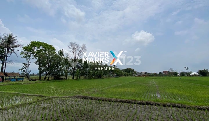 Dijual Tanah Lahan Pertanian Sawah Lokasi di Mangunrejo, Kepanjen