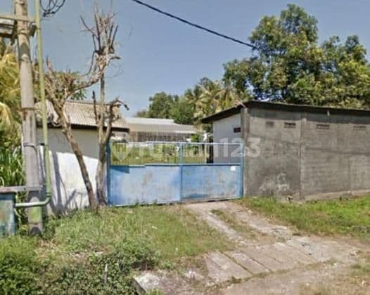 Tanah SHM 1 Ha + Gudang di Jalan Pantai Rening, Baluk, Negara, di Jual