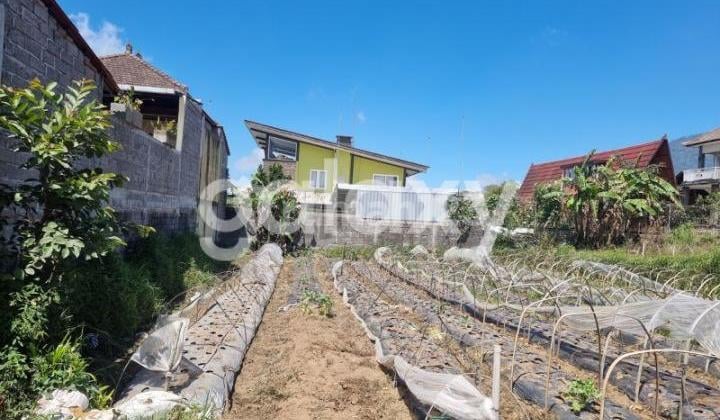 Tanah View Gunung di Jempiring Candikuning Tabanan, Bali