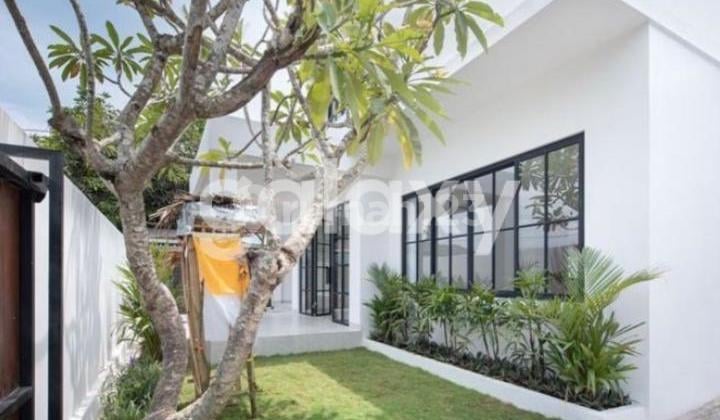 For Sale Contemporary Modern Shite House In Seminyak Badung, Bali