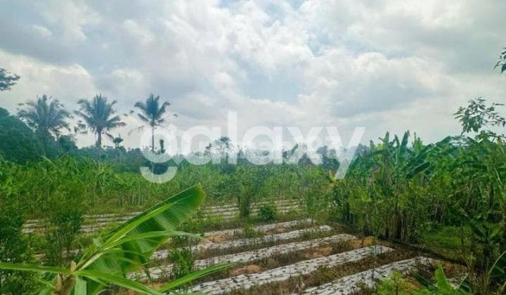 Tanah Raya Payangan Ubud Gianyar, Bali