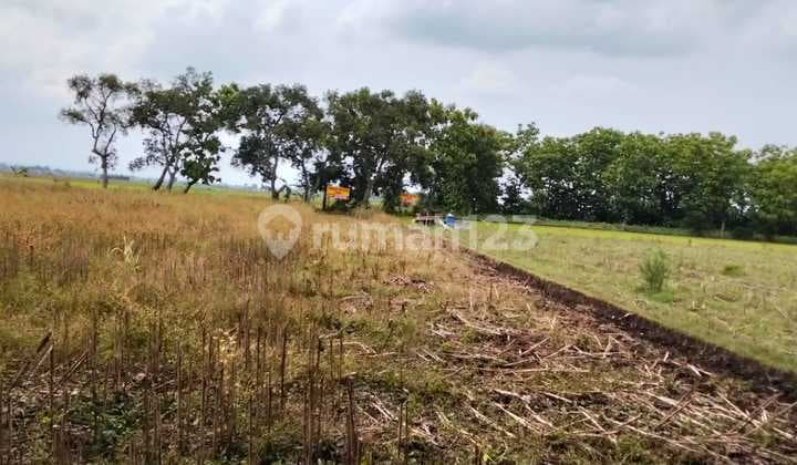 J1760 074 Dijual Tanah 1,3 Hektar Shm Harga Nego