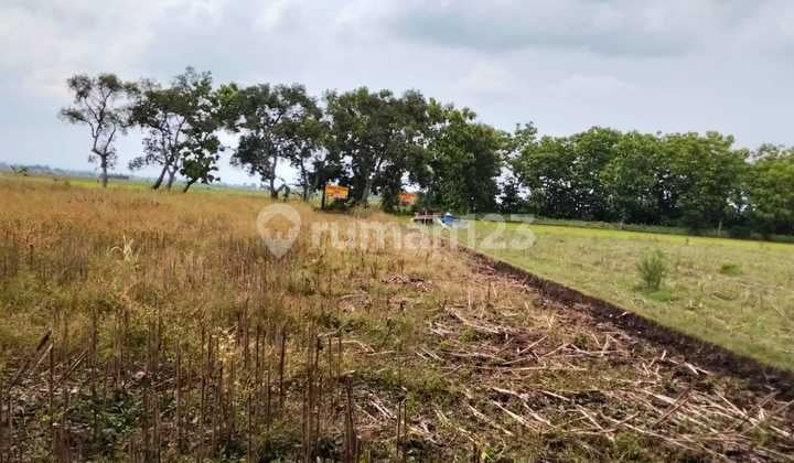 J1760 074 Dijual Tanah 1,3 Hektar Shm Harga Nego