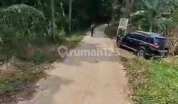 J2058-606 Tanah 23000 M2 Jalan Aspal View Adem Asri Shm Di Sukamakmur Jonggol Bogor