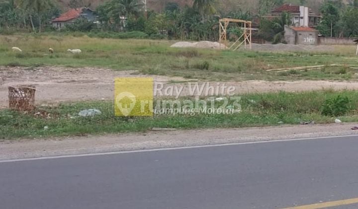 Tanah Pinggir Jl. Lintas Barat Sumatera Pringsewu Lampung