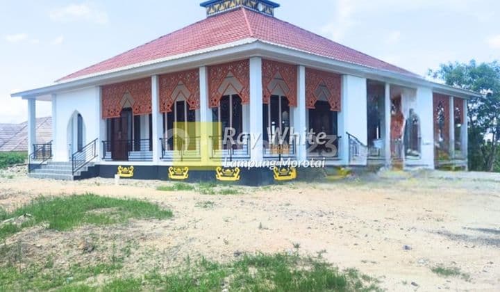 Dijual Tanah kebun 25 ribu/meter Nego Tanjung Sakti Way Kanan
