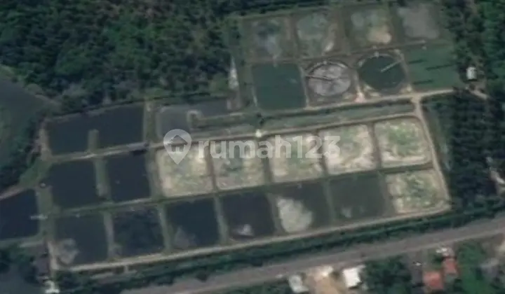 Dijual Cepat Tanah Tambak Kalianda