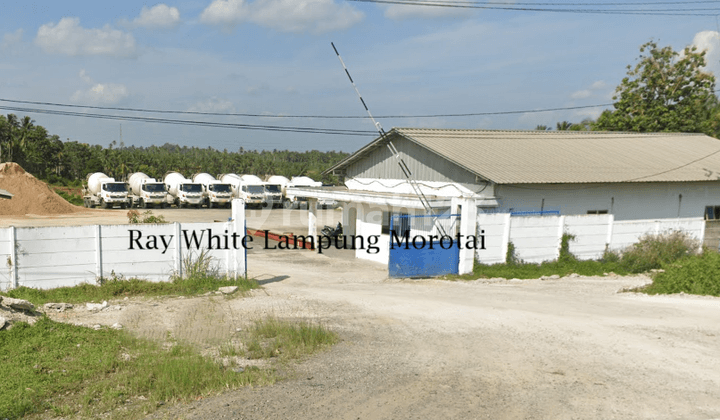 Dijual Tanah dan bonus bangunan gudang Jl. soekarno hatta sidomulyo kalianda