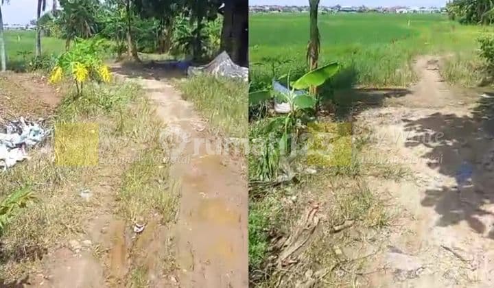 Dijual Tanah 3 Hektar Sukarame Bandar Lampung