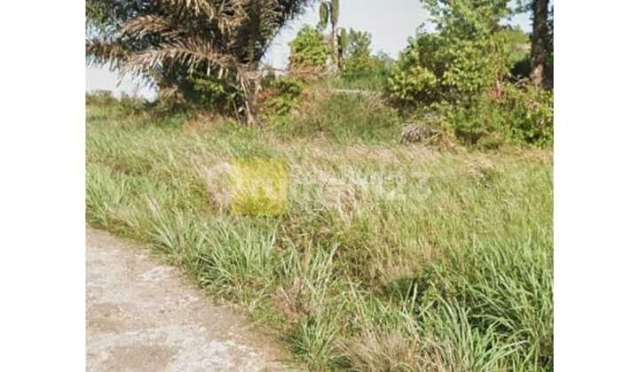 Dijual Tanah 60 ribu meter Sukabumi Bandar Lampung