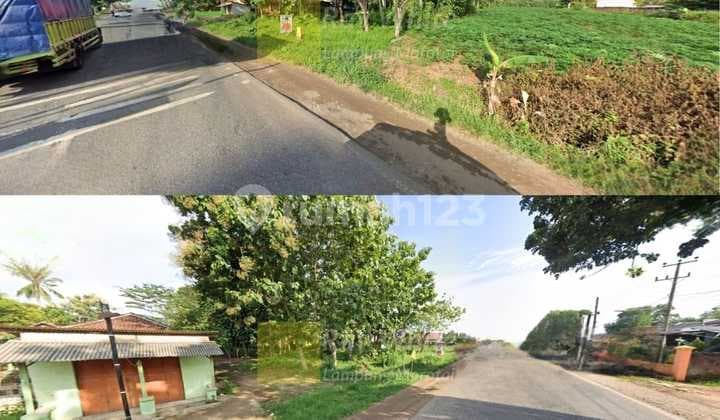 Dijual tanah 1 hektar Bumi Ratu Nuban Lampung Tengah