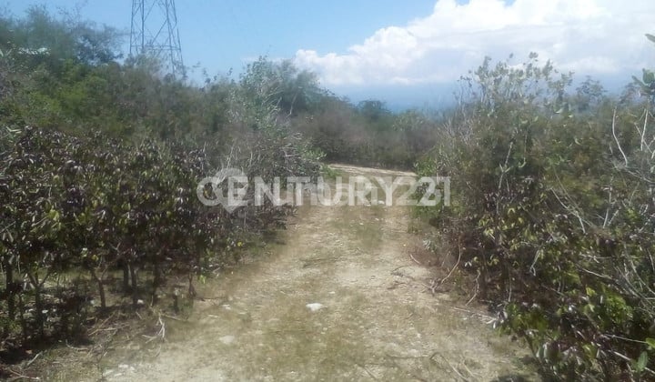 Tanah Luas Dekat Hotel Di Silae Palu S7542