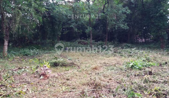 Tanah Luas Lokasi Strategis Dekat Kampus Di Pondok Cabe NS0065