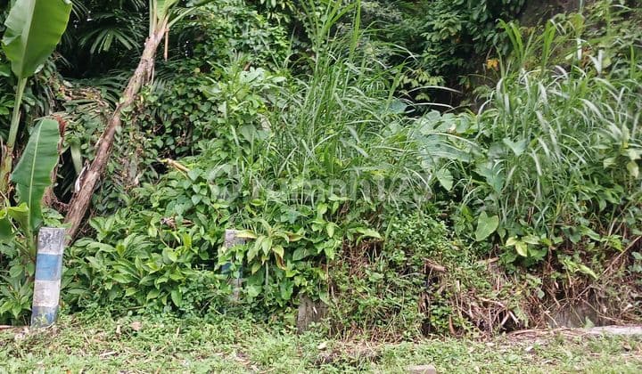 Tanah Shm Di Donokerto Turi Dekat Sungai Dekat Fasum
