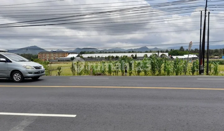 Jual Cepat Tanah Di Wates Kulon Progo Dekat Ke Yia U/gudang,toko