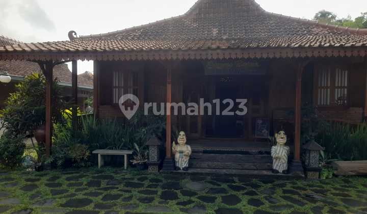 Rumah Etnik PLUS GuestHouse di Jl Kaliurang km16 u/investasi dll