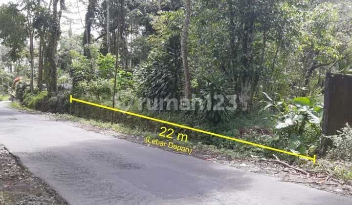 Tanah SHM pinggir jln dipakem sleman u/villa,rumah dll dkt fasum