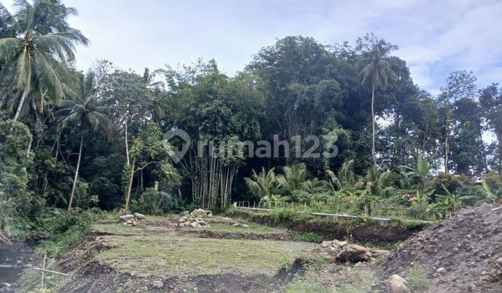 Jual Cepat Tanah SHM di Turi Sleman Ada Sungai Kecil untuk Villa