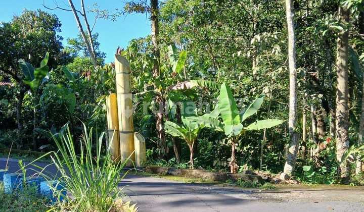 Jual Cepat Tanah Shm Sawah Di Pakem Sleman Dekat Fasum