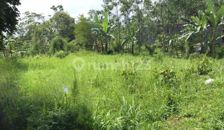 Jual Cepat Tanah Shm Murah Di Salatiga 7 Menit Ke Pusat Kota