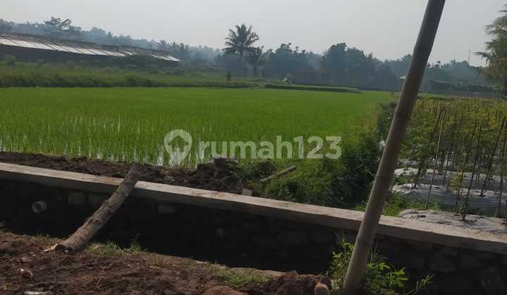 Jual Cepat Tanah Shm Sawah Di Pakem Sleman Dekat Pasar, Rs
