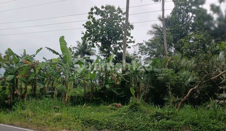 Jual Cepat Tanah Shms di Pakem Sleman Area Wisata