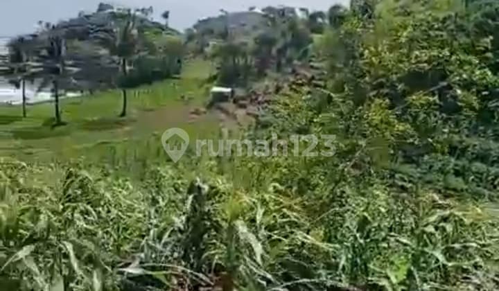 Land with SHM Certificate Near the Beach in Gunung Kidul Area / Resort, Tourism, etc.