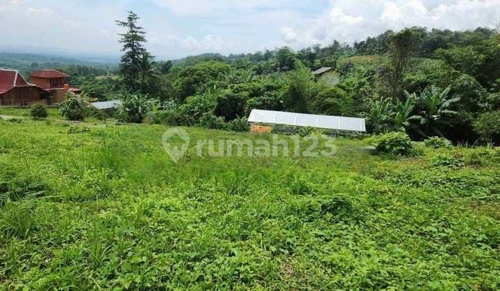 Jual Cepat Tanah Shm Di Cariu Bogor Dekat Fasum