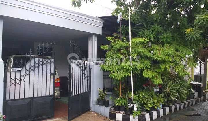 Dijual Cepat Rumah Lantai 1