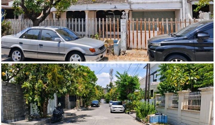 Jual Cepat Termurah di Kelasnya