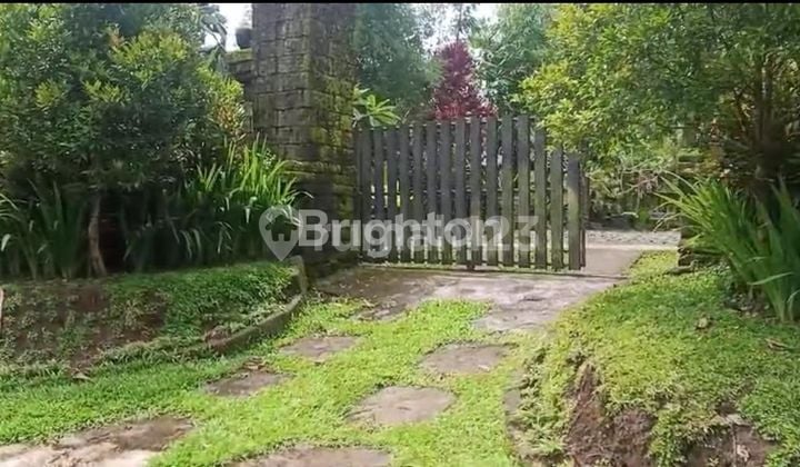 TANAH BAGUS ASRI NYAMAN PUPUAN TABANAN