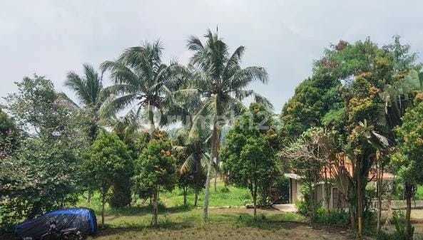 Dijual Tanah SHM Cocok untuk Aset Jangka Panjang di Caringin