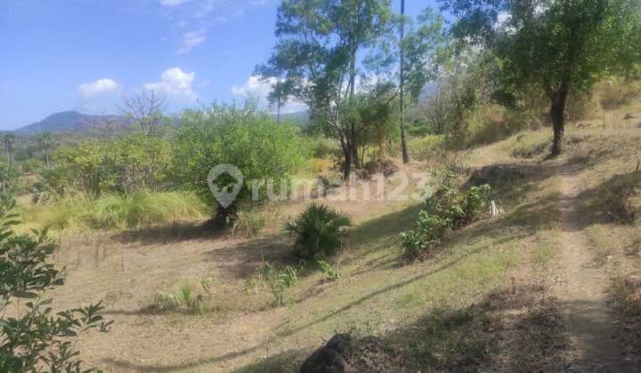 WTS / Dijual Cepat Kavling Sangat Luas Dan Siap Pakai di Tulamben, Karangasem, Bali